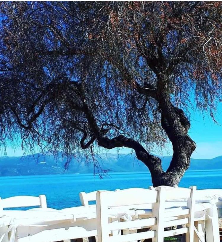 Eratous Seaside House Villa Agii Dimitrios ke Panteleimon Eksteriør billede