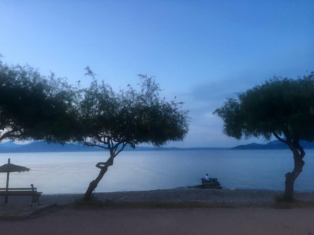 Eratous Seaside House Villa Agii Dimitrios ke Panteleimon Eksteriør billede