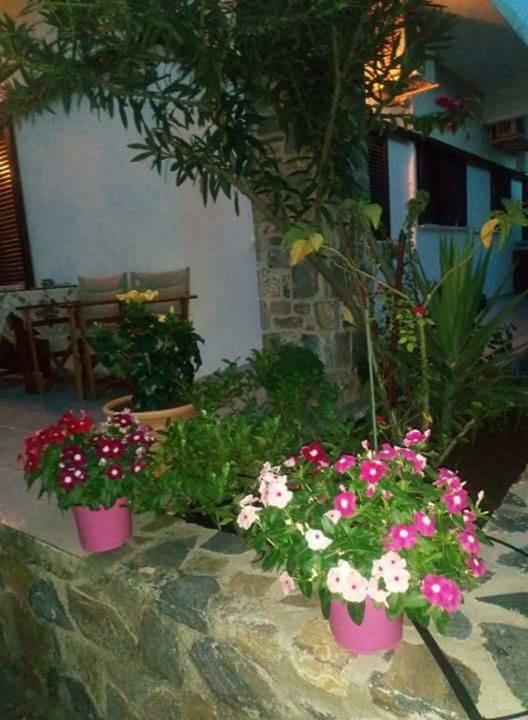 Eratous Seaside House Villa Agii Dimitrios ke Panteleimon Eksteriør billede