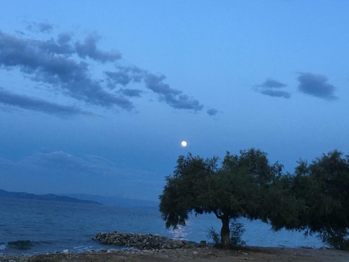 Eratous Seaside House Villa Agii Dimitrios ke Panteleimon Eksteriør billede